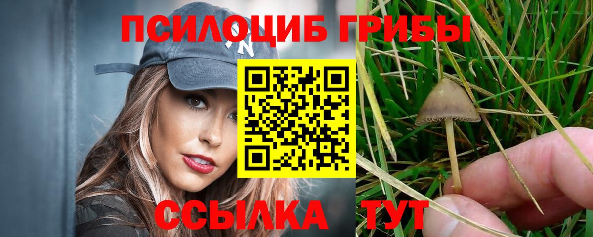 Сосновоборск  Галлюциногенные грибы Psilocybine cubensis  Вход с VPN 